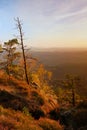 Colorful sunset in a beautiful autumn rocky park. Bended trees on peaks above deep valley. Evening orange sun rays. Royalty Free Stock Photo