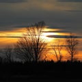 Colorful yellow orange sunset behind late winter FingerLakes tree line