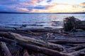 Colorful sunset clouds and driftwood Royalty Free Stock Photo