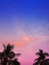 Colorful Sunset country side silhouette of coconut trees at the Royalty Free Stock Photo