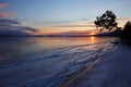 Colorful sunset on the frozen lake Baikal. Clean ice with cracks, pine tree on the shore. W