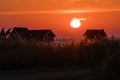 Colorful sunset with golden reeds Royalty Free Stock Photo