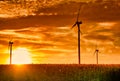 Sunset landscape with wind turbine and sunflower field Royalty Free Stock Photo