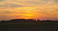 Colorful sunset over corn field, summer landscape Royalty Free Stock Photo