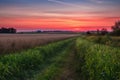 colorful sunset over endless fields of harvest moon