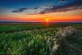 colorful sunset over endless fields of harvest moon