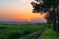 Colorful sunset over green fields Royalty Free Stock Photo