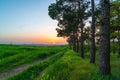 Colorful sunset over green fields Royalty Free Stock Photo