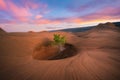 Colorful sunset over a hole in the rock with a tree Royalty Free Stock Photo