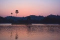 Colorful sunset over the Kandy Lake with silhouettes of palmtrees Royalty Free Stock Photo