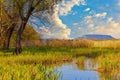 Colorful sunset over the Lake Balaton of Hungary. In the distance are the silhouettes of volcanic mountains Royalty Free Stock Photo