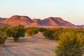 Colorful sunset over the Namib desert, Namibia, Africa. Mountains, dunes and Acacia trees silhouette in backlight. Orange red clea Royalty Free Stock Photo