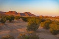 Colorful sunset over the Namib desert, Namibia, Africa. Mountains, dunes and Acacia trees silhouette in backlight. Orange red Royalty Free Stock Photo