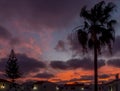 Colorful sunset over the roofs of the houses of a tropical village in the Canary Islands, Spain Royalty Free Stock Photo