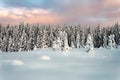 Colorful sunset over winter landscape with snow covered forest . Royalty Free Stock Photo