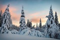 Colorful sunset over winter landscape with snow covered forest . Royalty Free Stock Photo