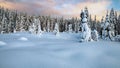 Colorful sunset over winter landscape with snow covered forest . Royalty Free Stock Photo