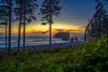 Colorful sunset at Ruby Beach in Olympic National Park, Washington state Royalty Free Stock Photo