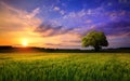 Colorful sunset scenery on open field