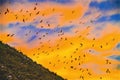 Colorful Sunset Sea Birds Haystack Rock Canon Beach Oregon Royalty Free Stock Photo