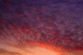 Colorful sunset sky with cirrus clouds painted in red by the setting sun. Magical rich drawing of a natural phenomenon Royalty Free Stock Photo