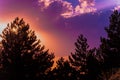 Colorful sunset sky and clouds with silhouette of pine trees Royalty Free Stock Photo