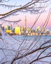 Colorful sunset sky over the Toronto skyline, with ice covered trees in Humber Pay Park Royalty Free Stock Photo