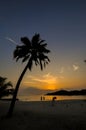 Colorful sunset on tropical beach with palm trees silhouettes Royalty Free Stock Photo