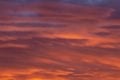 Colorful sunset twilight sky.The suns rays pass through the clouds Royalty Free Stock Photo