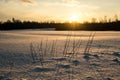 colorful sunset in winter over countryside fields covered in snow Royalty Free Stock Photo