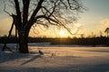 colorful sunset in winter over countryside fields covered in snow Royalty Free Stock Photo