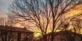 Colorful sunshine sky in the suburbs with a building and tree in the nature on a sunny inspiring beautiful day