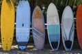 Surfing boards. Caribbean coast, Costa Rica. Royalty Free Stock Photo
