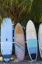 Surfing boards. Caribbean coast, Costa Rica. Royalty Free Stock Photo