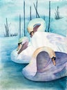 Swans - Original Watercolor Painting of three Swans on a Lake