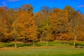 Fall landscape with fields of yellow grass and colorful leaves o