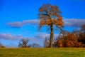 Fall landscape with fields of yellow grass and colorful leaves o