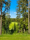 Colorful Swedish summer fields and forest with clear blue sky. Swedish nature in summer