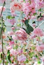 Colorful of sweet artificial flower hanging from ceiling. Beautiful Upside down flowers