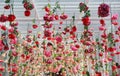 Colorful of sweet artificial flower hanging from ceiling. Beautiful Upside down flowers