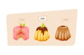 Colorful sweet charming cakes slices with glaze and chocolate cream.