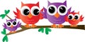 Colorful sweet owl family sitting on a branch Royalty Free Stock Photo