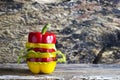 Colorful sweet pepper slices decoration on wooden background