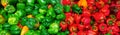Colorful Sweet Ripe Bell Peppers Green Red Paprika Background Many Royalty Free Stock Photo