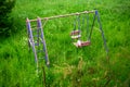 Colorful swing in garden overgrown by field of flowers Royalty Free Stock Photo