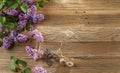 Colorful syringa or lilac inflorescences on wood