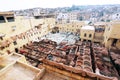 Colorful Tannery in Fes, Morocco Royalty Free Stock Photo