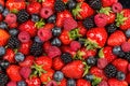 Colorful tasty mix of wild forest berry fruits. Strawberry blueberry raspberry and blackberry. healthy eating nutrition vegan food Royalty Free Stock Photo
