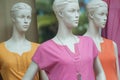 Colorful teeshirt on mannequin in fashion store for women showroom Royalty Free Stock Photo