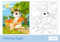Colorful template and colorless contour image of cute bunny in a hat picking carrots in a basket in a wood. Wild animals